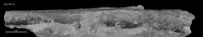 https://files.geocollections.info/large/ee/5e/ee5e39b9-3bce-48df-b308-bd4e5db22433.jpg
