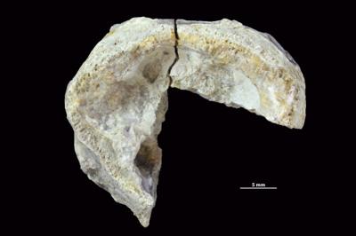 https://files.geocollections.info/large/ee/b1/eeb1079e-8880-41f2-b6ea-144f970d5f46.jpg