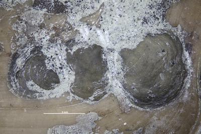 https://files.geocollections.info/large/ef/19/ef191c37-4640-48d3-be1d-053f9262a6f7.jpg