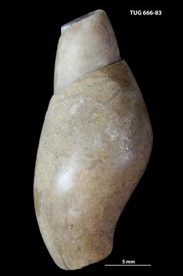 https://files.geocollections.info/large/ef/62/ef625cec-35d1-43cf-8eea-d18442df5c20.jpg