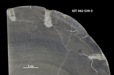 <i></i><br />Suuriku cliff,  m, Jaani Stage