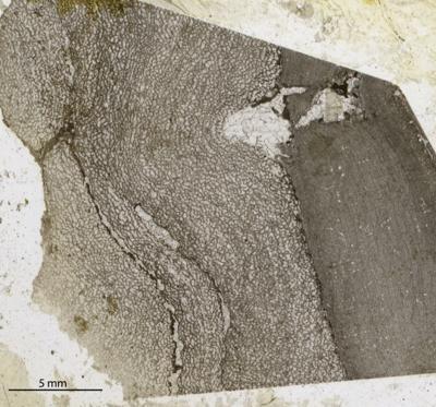 https://files.geocollections.info/large/ef/d0/efd0b19d-dcd9-4614-99d9-cc25db605585.jpg