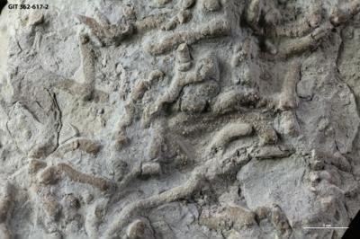 https://files.geocollections.info/large/f0/03/f0034705-56ec-47b8-876e-a2511ee3b090.jpg