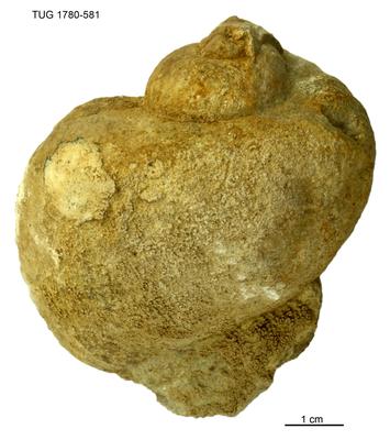 https://files.geocollections.info/large/f0/27/f0271c46-0d31-4d29-b424-93443c152ec6.jpg