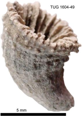 https://files.geocollections.info/large/f0/93/f093737d-9b27-4bac-afe3-3d4df7009ac0.jpg