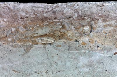 <i></i><br />Harku quarry,  m, Kunda Stage