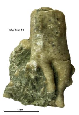 https://files.geocollections.info/large/f1/46/f14627c7-7243-4108-96bb-7e345504a952.jpg