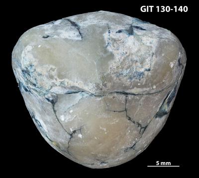 https://files.geocollections.info/large/f1/57/f1570870-8db7-4ca5-b8e2-248697545b23.jpg