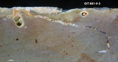 <i>Trypanites sp.</i><br />Sutlema quarry,  m, 