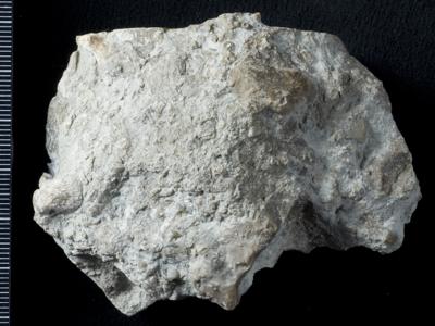 https://files.geocollections.info/large/f1/7f/f17f1e04-1292-43e1-a45b-bf744f26d7c0.jpg