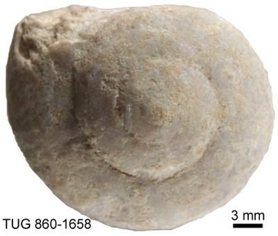 https://files.geocollections.info/large/f1/a8/f1a8ab54-f317-44db-8468-b39dd9b810f5.jpg