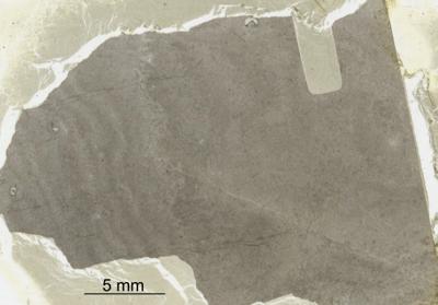 https://files.geocollections.info/large/f1/ec/f1ec3d12-4972-432a-a98b-6329e3c6587d.jpg