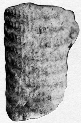 https://files.geocollections.info/large/f1/ec/f1ec7771-20a3-42f1-a7ef-c3e637f4602c.jpg