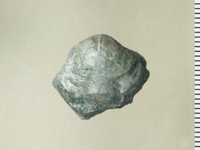 https://files.geocollections.info/large/f2/3e/f23e9271-b9f8-41e1-ba25-44c8b2733dc6.jpg