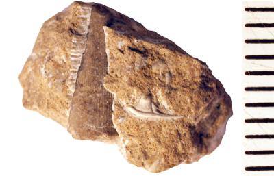 https://files.geocollections.info/large/f3/7a/f37ad7a7-443d-4859-bed8-b2a7bce1d1a4.jpg