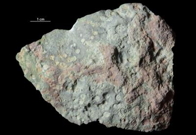 <i></i><br />Syass River, Rebrovo, Leningrad District,  m, Volkhov Stage