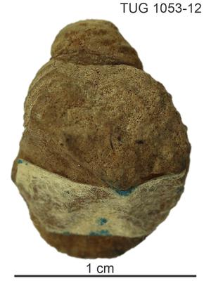 https://files.geocollections.info/large/f5/01/f501a93e-f7b0-4634-8387-dce1aca2f26f.jpg