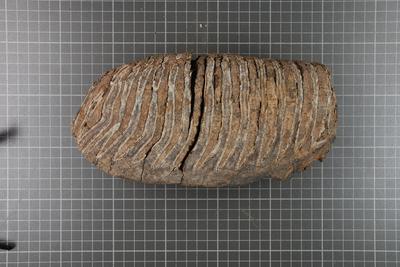 https://files.geocollections.info/large/f5/67/f5675894-f5f4-440b-b75d-1e9d8c233119.jpg