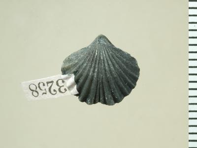 https://files.geocollections.info/large/f6/44/f644a432-1cb0-420a-a843-f0f44b5699b8.jpg