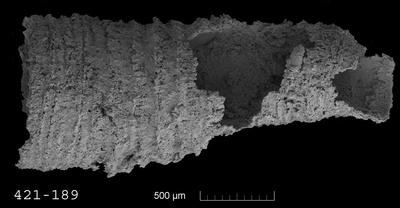 https://files.geocollections.info/large/f6/78/f678595b-1bf8-44c7-8264-72239ed16b04.jpg