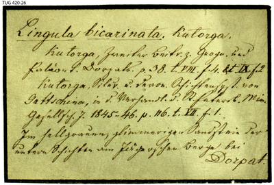 https://files.geocollections.info/large/f6/9a/f69adeae-6757-4d47-9fd2-c85c94181aed.jpg