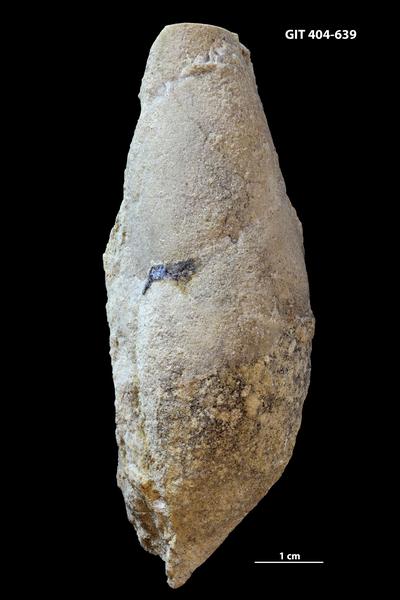 https://files.geocollections.info/large/f6/eb/f6ebe436-a982-4194-ada0-cf330edfaec7.jpg
