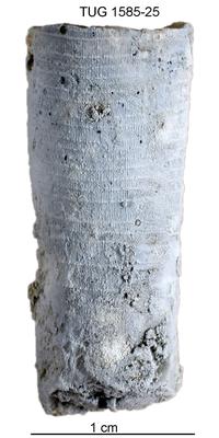 https://files.geocollections.info/large/f7/2e/f72e7a77-0e53-4296-81b7-ef72de02d43f.jpg
