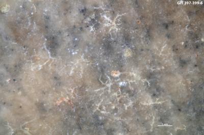 <i></i><br />Kesselaid,  m, Adavere Stage