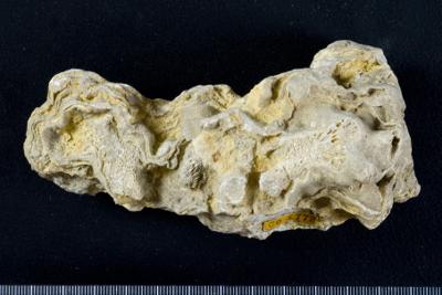 https://files.geocollections.info/large/f8/ae/f8aea952-48b6-4627-8503-3535efa04f97.jpg