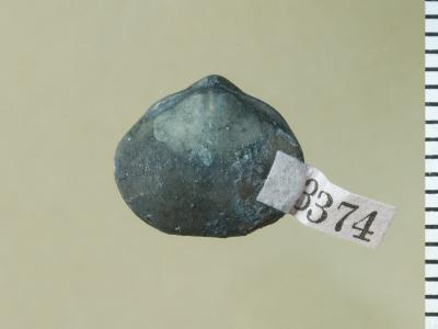 https://files.geocollections.info/large/f8/c4/f8c445d6-9148-40ce-9c93-7930df735e82.jpg