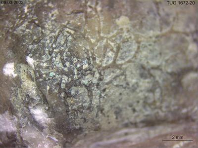 https://files.geocollections.info/large/f9/4a/f94a2e78-a4f8-4b4e-8c72-8676dba283eb.jpg