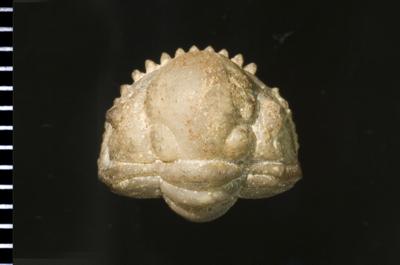 https://files.geocollections.info/large/f9/79/f9790056-7ac6-42c3-ad29-a71f3a6faada.jpg
