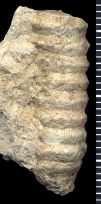 https://files.geocollections.info/large/f9/e6/f9e6ea1e-cbcd-4deb-a3b2-d5e3254c885b.jpg