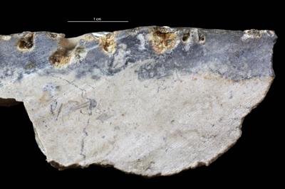 <i></i><br />Saxby shore,  m, Vormsi Stage