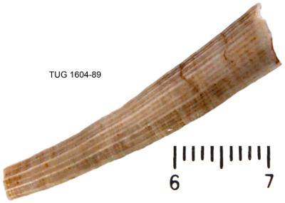 https://files.geocollections.info/large/fa/2f/fa2fe1a8-931f-45ee-a824-9178ee24e965.jpg