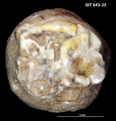https://files.geocollections.info/large/fa/34/fa344f9c-8ff7-4e34-8db0-b59b47d09d64.jpg