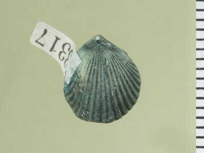https://files.geocollections.info/large/fa/b4/fab4561c-7ca6-4172-9679-d341cfe500a6.jpg