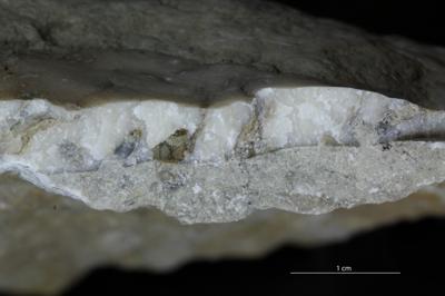 <i></i><br />Saxby shore,  m, Vormsi Stage