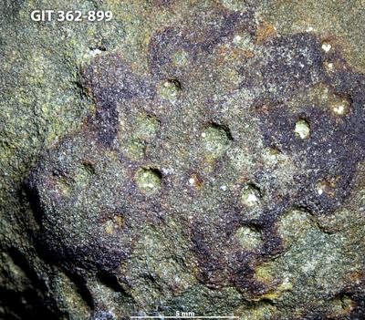 <i>Trypanites isp.</i><br />Vohilaid outcrop 8 (8 after B. Stein),  m, Pirgu Stage