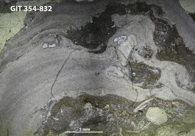 https://files.geocollections.info/large/fb/6d/fb6dace9-61c1-49af-b7e4-02ae825f520b.jpg