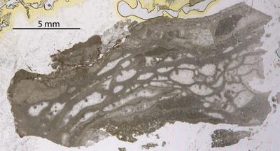 https://files.geocollections.info/large/fb/75/fb753bb6-cfa2-47a9-b21e-3ee8f2dd8cfc.jpg