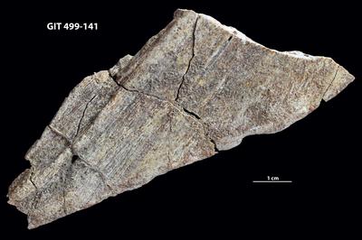 https://files.geocollections.info/large/fb/9b/fb9ba3ee-d310-4690-9f81-b3ef4a8f1513.jpg