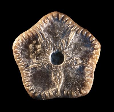 https://files.geocollections.info/large/fc/14/fc146e8c-0b88-4ca8-b276-c50f4e403f2d.jpg