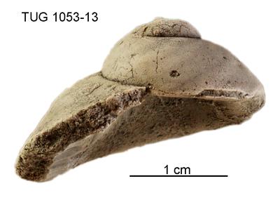 https://files.geocollections.info/large/fc/5a/fc5a4103-a958-4537-a788-c7baed6a1338.jpg