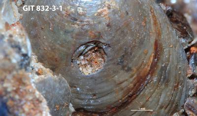 <i></i><br />Ülgase undergound mine,  m, Pakerort Stage