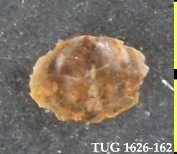 https://files.geocollections.info/large/fc/b2/fcb2d9b0-8965-492a-b67e-82ae242ab84e.jpg