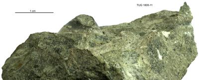 https://files.geocollections.info/large/fd/b7/fdb7c6af-50f9-4791-a7e2-bfbc3e8915db.jpg