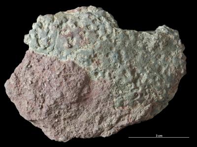 <i></i><br />Syass River, Rebrovo, Leningrad District,  m, Volkhov Stage