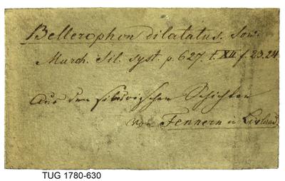 https://files.geocollections.info/large/fe/69/fe691af5-1cb7-4828-b92e-264291a3297b.jpg