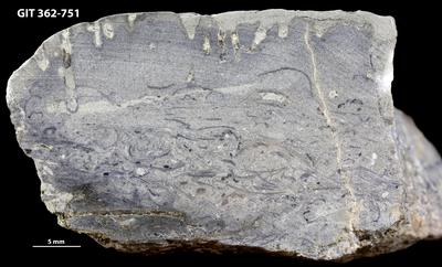 <i></i><br />Ohesaare cliff,  m, Ohesaare Stage